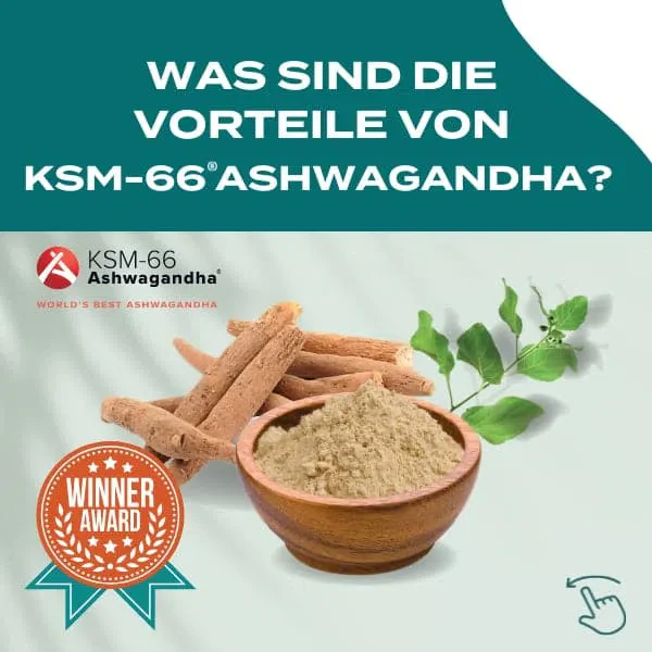 KSM-66® Ashwagandha - Image 3