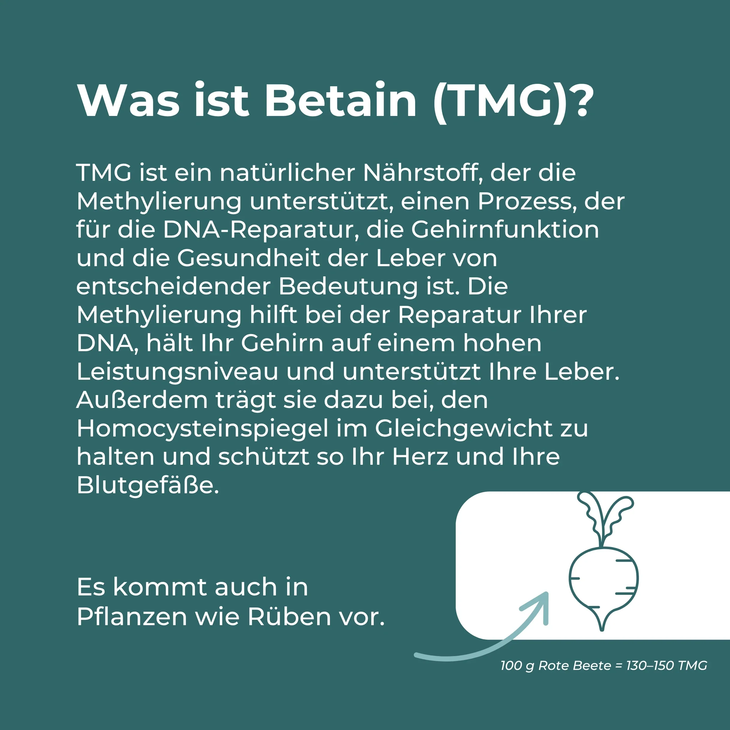 Betain Kapseln (TMG) - Image 3