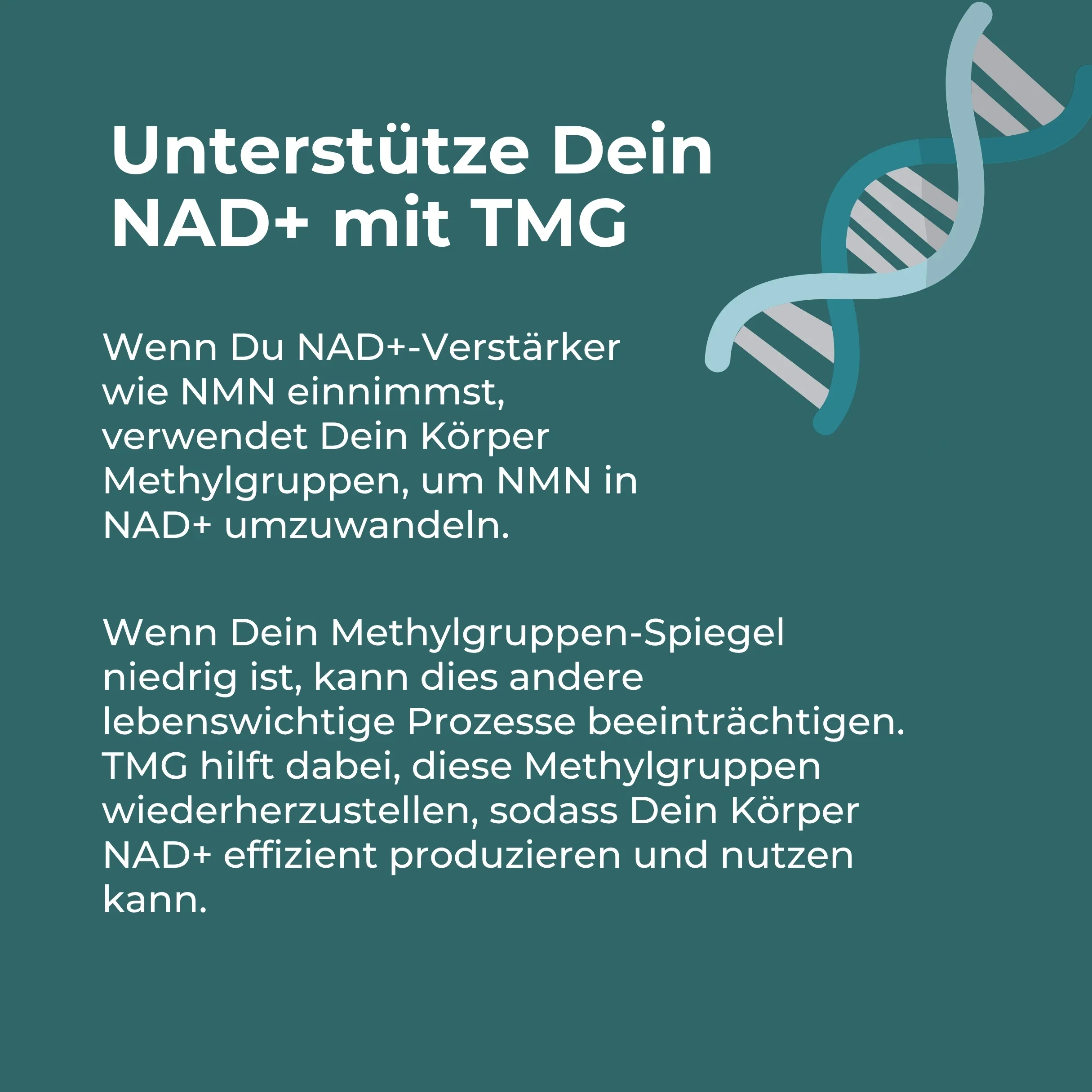 Betain Kapseln (TMG) - Image 6