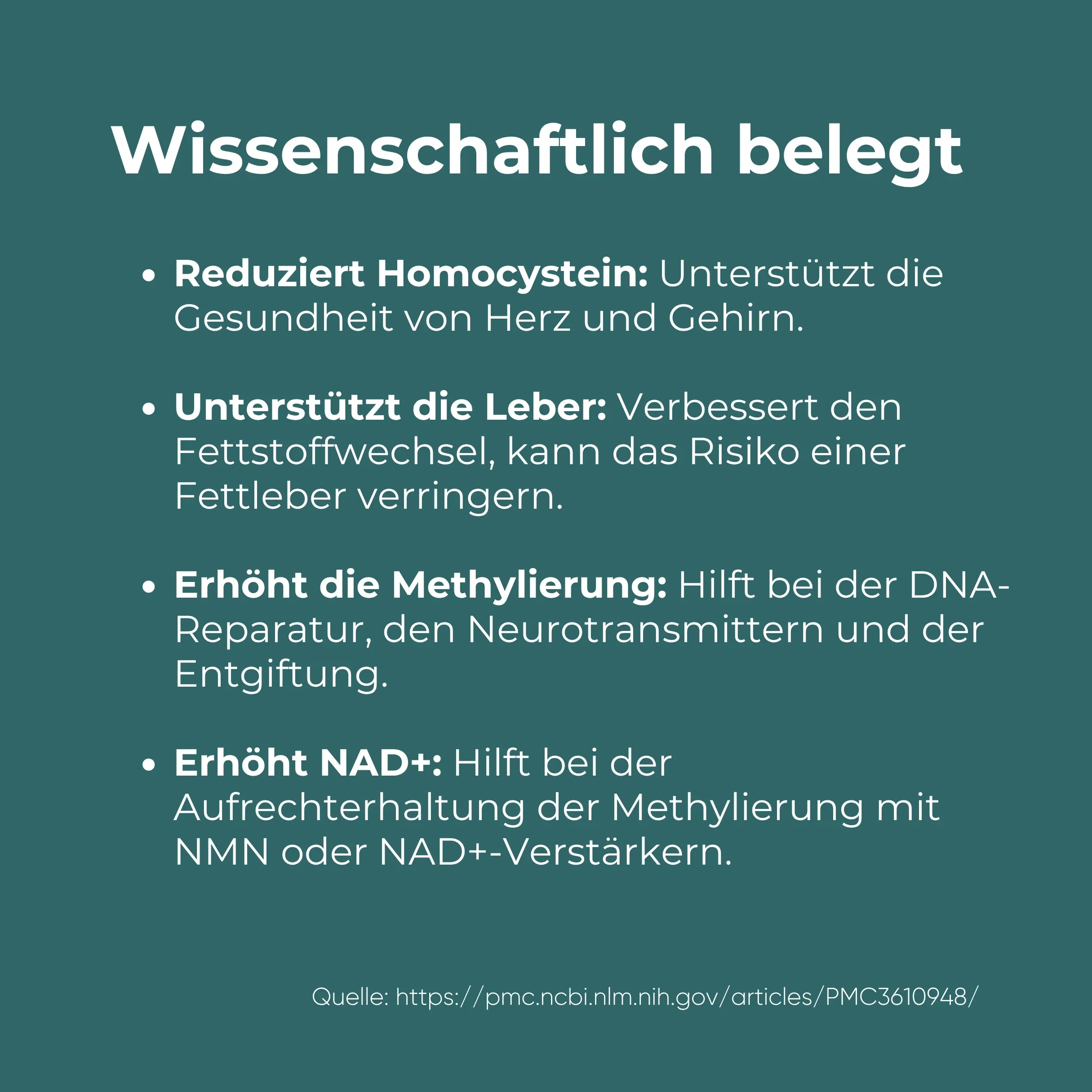 Betain Kapseln (TMG) - Image 8