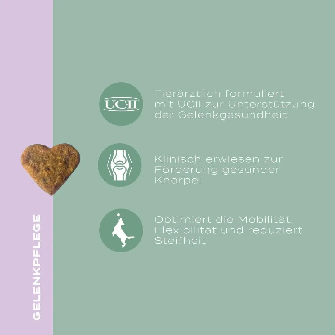 Bundle für gesunde Hundegelenke - Image 4