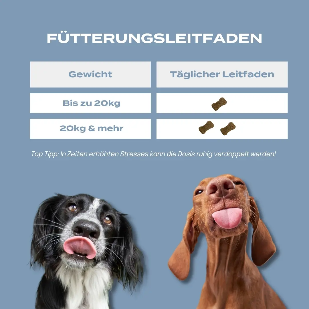CBD Hundeleckerlis für mehr innere Ruhe - Image 4