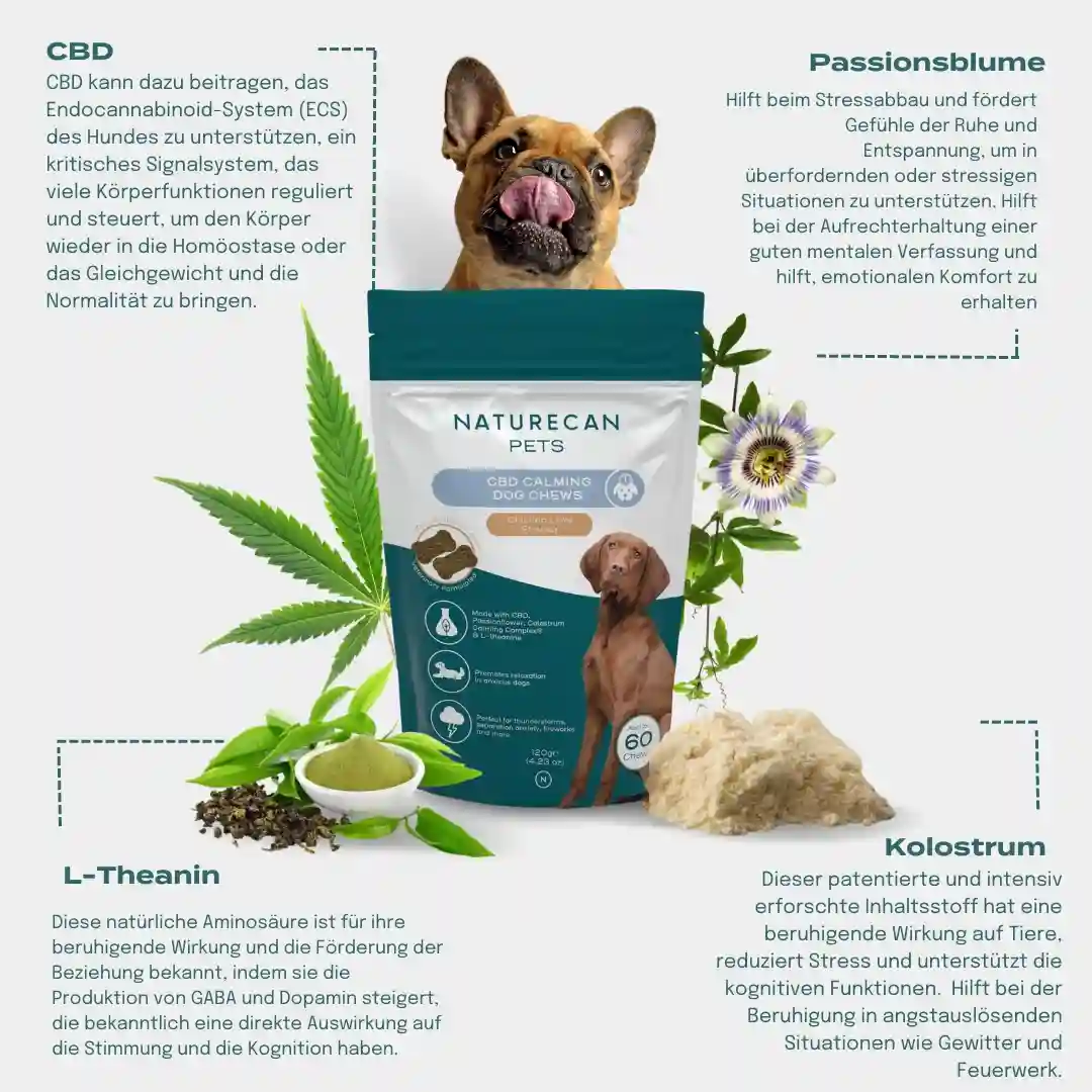 CBD Hundeleckerlis für mehr innere Ruhe - Image 5