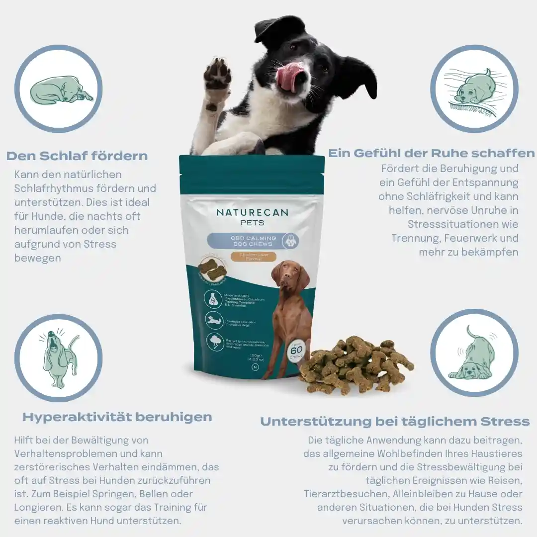 CBD Hundeleckerlis für mehr innere Ruhe - Image 6