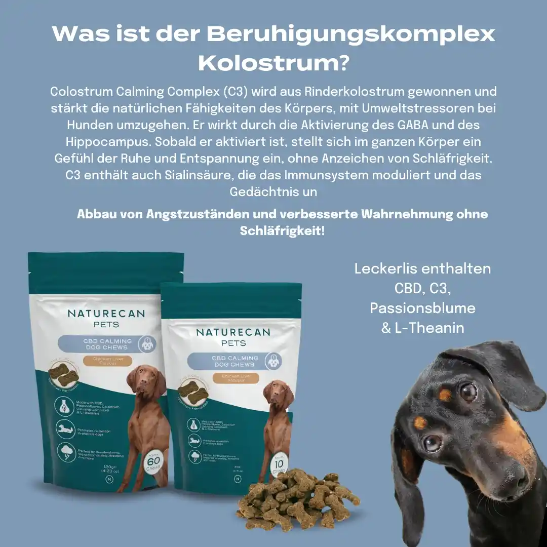 CBD Hundeleckerlis für mehr innere Ruhe - Image 7