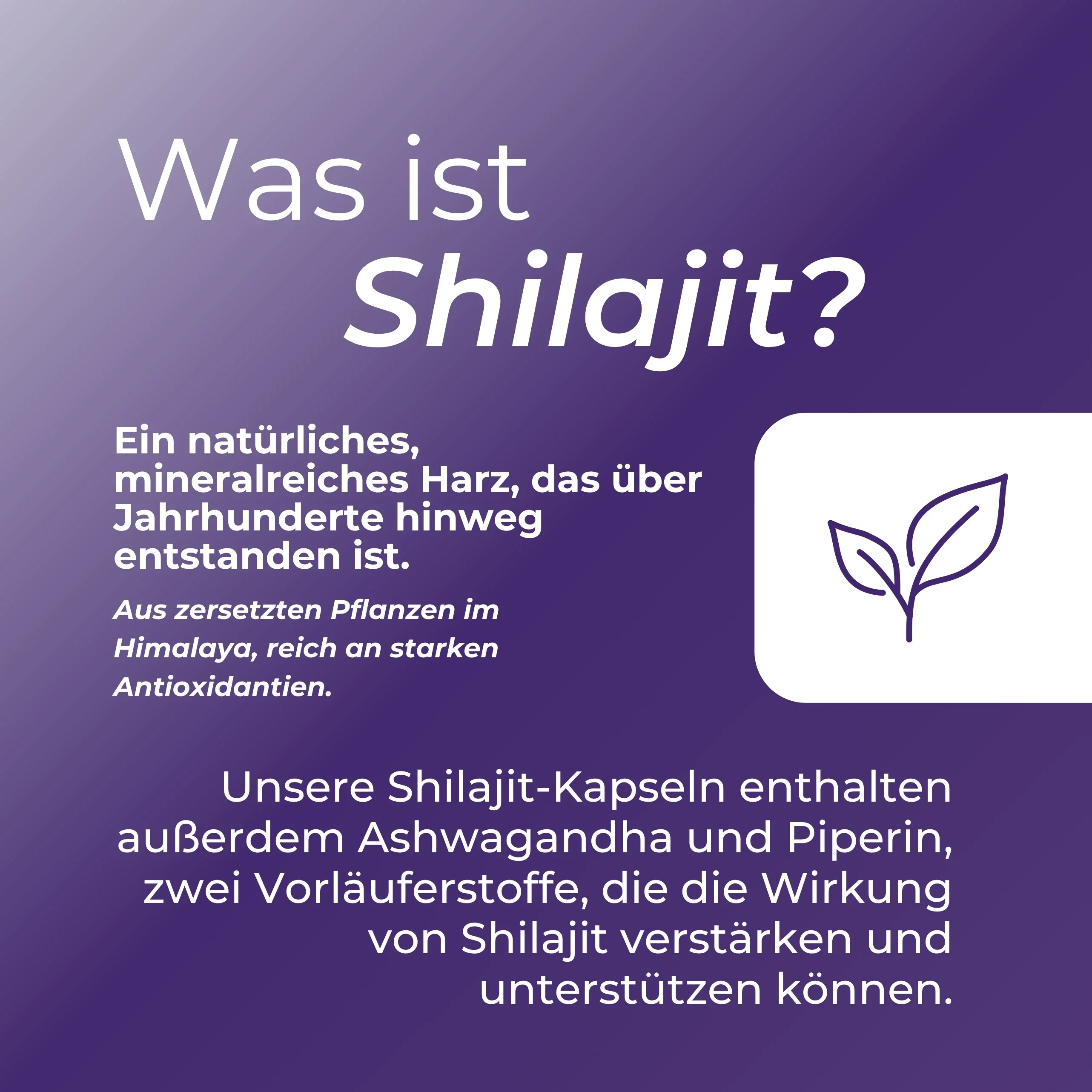 Shilajit - Image 3