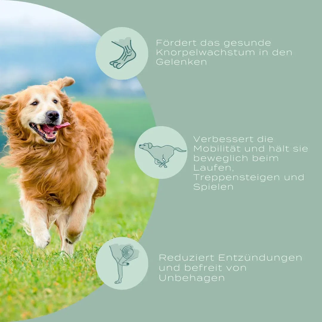 UC-II® Hundeleckerlis für Gelenke - Image 10