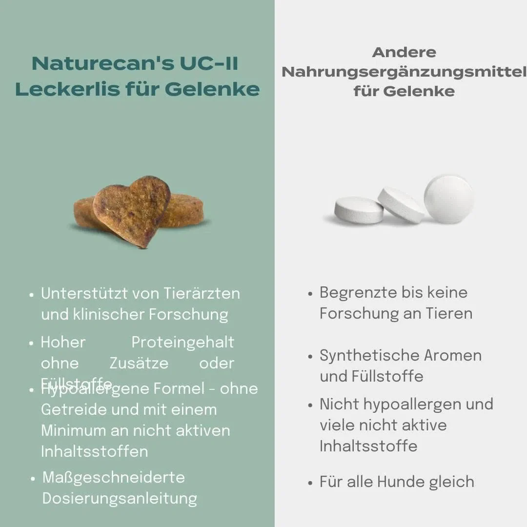 UC-II® Hundeleckerlis für Gelenke - Image 11