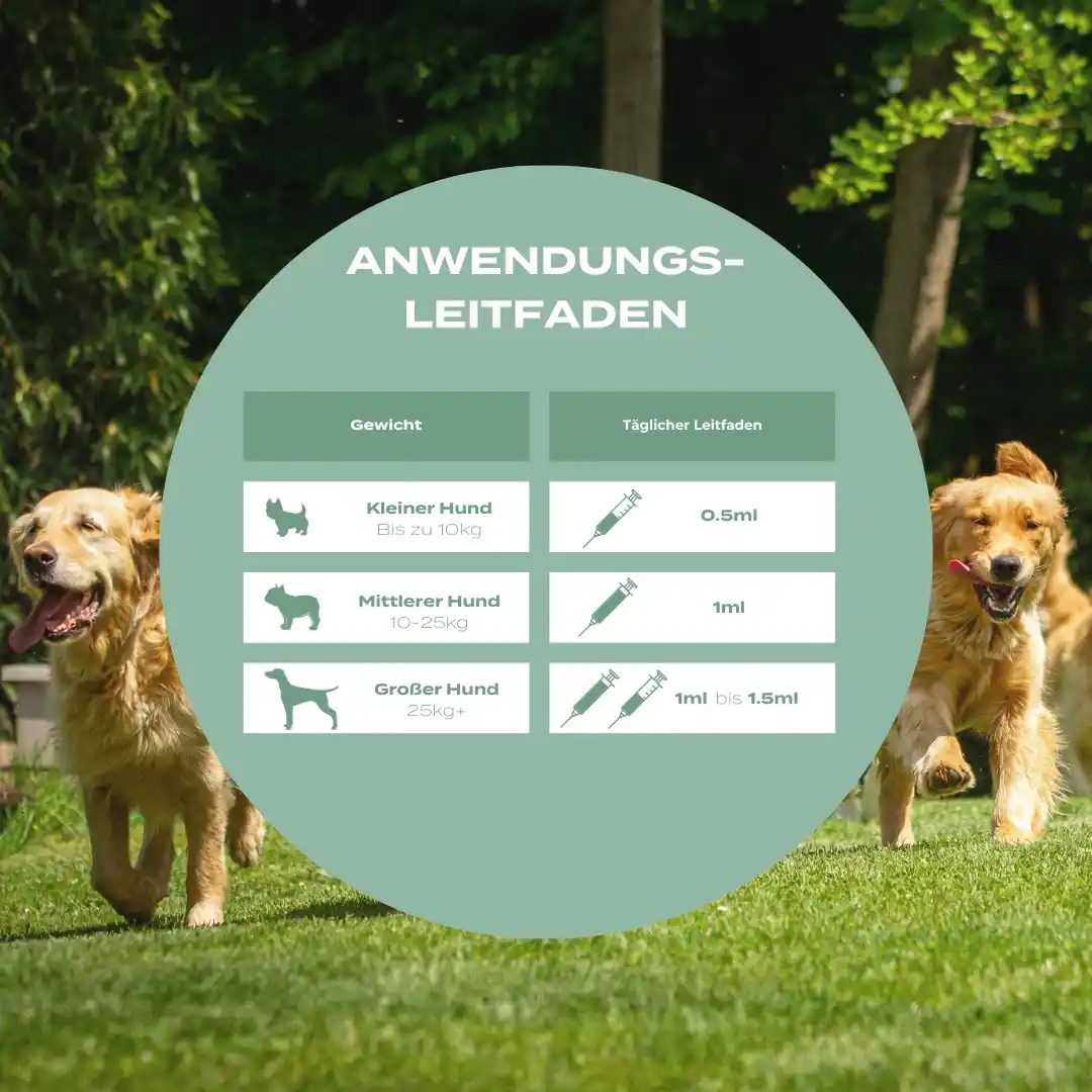 UC-II® Hundeöl für Gelenke - Image 3