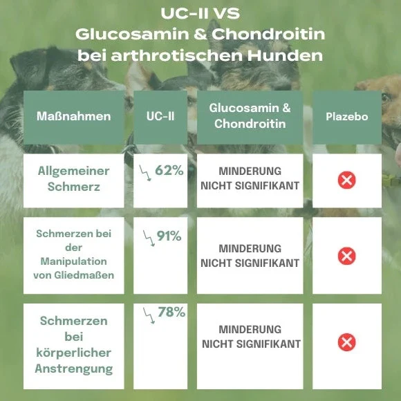 UC-II® Hundeöl für Gelenke - Image 4