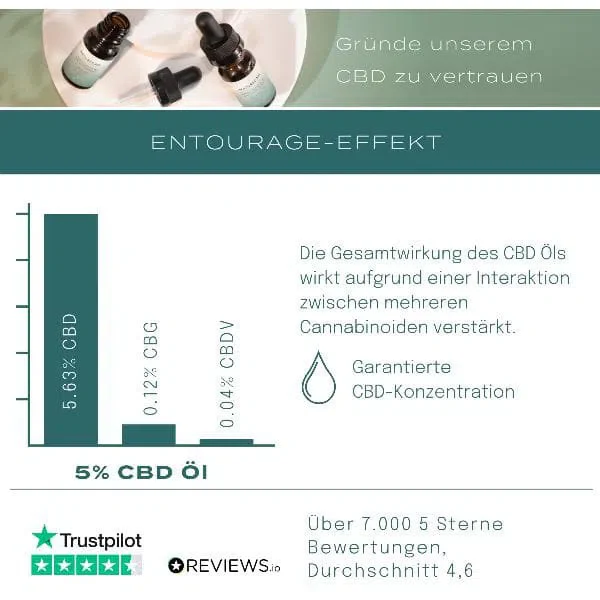 Vegane CBD Kapseln - Image 4